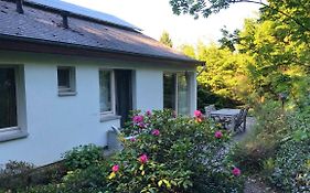 Villa Des Grues A Filly